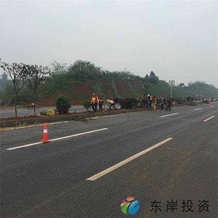 岷东大道东坡段5.8公里道路隔离带绿化工程(图7)