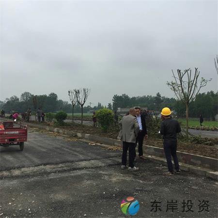 岷东大道东坡段5.8公里道路隔离带绿化工程(图6)