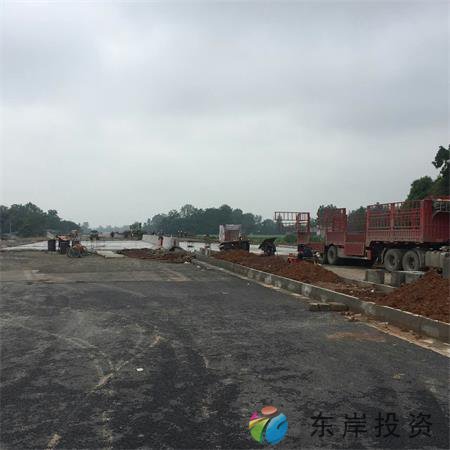 岷东大道东坡段5.8公里道路隔离带绿化工程(图8)