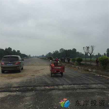 岷东大道东坡段5.8公里道路隔离带绿化工程(图5)