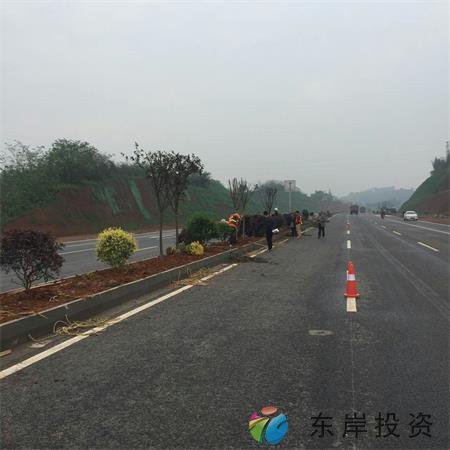 岷东大道东坡段5.8公里道路隔离带绿化工程(图1)