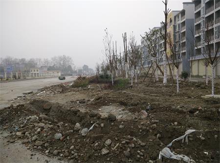 遂资眉高速路出口绿化工程(图2)