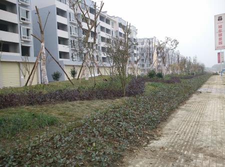 遂资眉高速路出口绿化工程(图1)