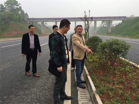 岷东大道东坡段5.8公里道路隔离带绿化工程顺利验收(图3)